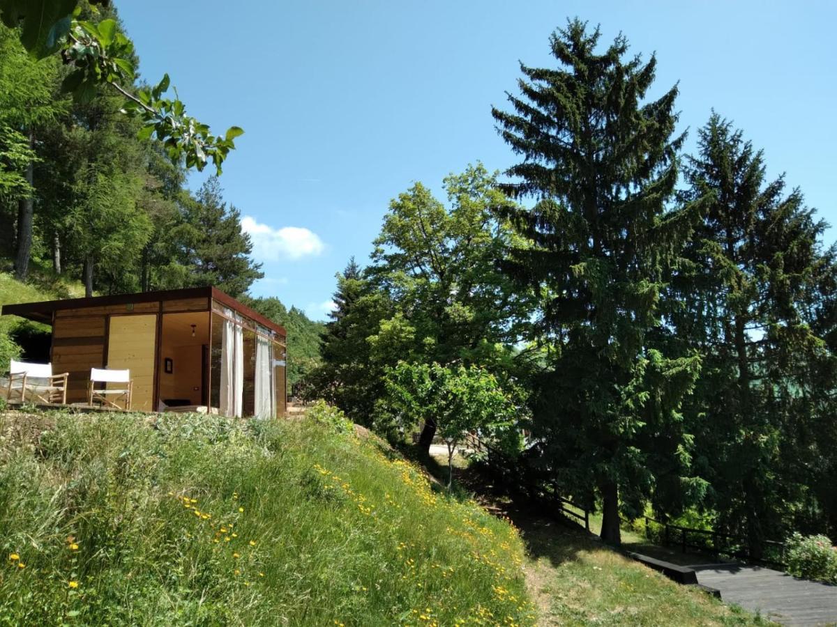 Suxen Nature Experience - Lodge Con Vista Panoramica Prepotto  Exterior foto